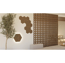 Helle Inneneinrichtung mit Akustikpaneelen in Sechseckform, Raumteiler aus Holz und einer Zimmerpflanze