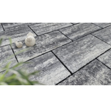 Rechteckige Pflastersteine aus Stein mit Vogeldekoration.