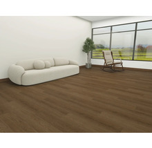 Wohnzimmer mit Sofa, Zimmerpflanze, Schaukelstuhl und Holzboden