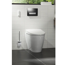 Badezimmer mit wandhängendem WC, Betätigungsplatte und WC-Bürste