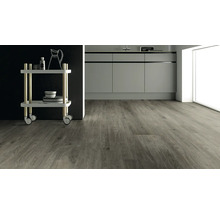 Innenaufnahme eines modern eingerichteten Raumes mit Laminatboden, Küchenzeile und Servierwagen.