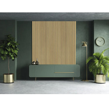 Wohnzimmer mit Holzpaneelwand, Sideboard, Stehlampe und Zimmerpflanzen