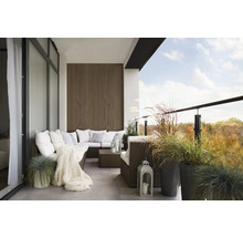 Balkon mit Lounge-Mobiliar, Ziergräsern und Windschutzwand