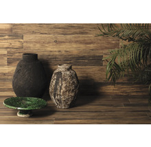 Dekorative Szene mit zwei Vasen, einer Schale und einer Pflanze vor einer Holzwand