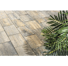 Pflastersteine im Gartenbereich