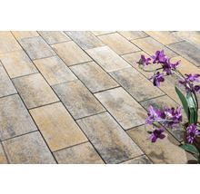 Rechteckige Pflastersteine aus Stein auf einer Fläche.