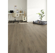 Heller Raum mit Laminatboden, Schreibtisch, Stuhl, Gitarre, Zimmerpflanze und Hundebett