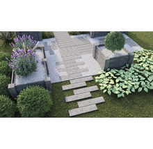 Gartenszene mit Holzwegen, Kiesbeeten und Pflanzen