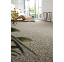 Szene mit Teppichboden, Korbliege und Zimmerpflanze