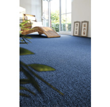 Wohnzimmer mit blauem Teppichboden und Korbliege