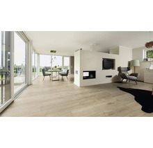 Heller Wohnraum mit Esstisch, Stühlen, Fernseher und Parkettboden.