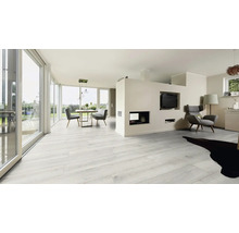 Heller Wohnraum mit Laminatboden, Esstisch und Sesseln