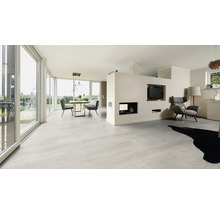 Heller Wohnraum mit Esstisch, Sitzgelegenheiten, Fernseher und Kamin