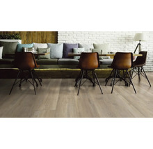 Innenaufnahme eines Esszimmers mit Holzboden, Stühlen und Tisch