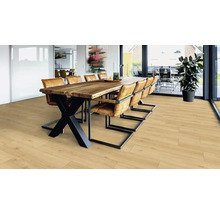 Heller Raum mit Holzboden, Esstisch und Stühlen.