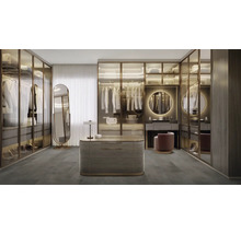 Begehbarer Kleiderschrank mit Glasfronten, Spiegeln und Beleuchtung für eine organisierte Aufbewahrung von Kleidung und Accessoires.