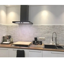 Moderne Küche mit Dunstabzugshaube, Spüle, Armatur und Arbeitsfläche