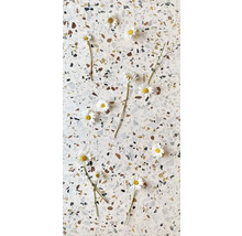 Margariten auf einer strukturierten Oberfläche