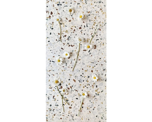 Terrazzo-Bodenfliese Sassi Fenillia 60x60x2cm