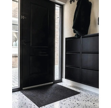 Eingangsbereich mit Tür, Schuhschrank und Fußmatte