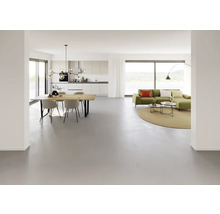 Heller Wohnraum mit Essbereich, Küche und Wohnzimmer in modernem Design