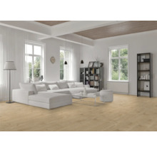 Heller Wohnraum mit Sofa, Regalen und Holzboden