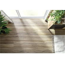 Heller Raum mit Holzboden, Zimmerpflanzen und Teppich