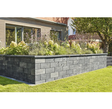 Gartenmauer aus Stein mit Pflanzen bepflanzt