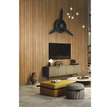 Wohnzimmer mit Wandpaneelen, Fernseher, Sideboard, Ottomane und Dekoration