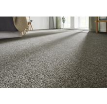 Nahaufnahme eines Wohnraums mit Teppichboden.