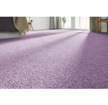 Nahaufnahme eines lila Teppichbodens in einem Schlafzimmer.