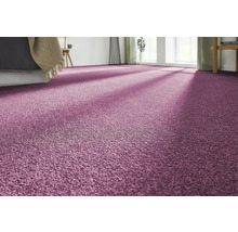 Nahaufnahme eines Zimmers mit Teppichboden