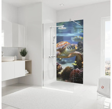Helles Badezimmer mit Dusche und Schildkröten-Motiv
