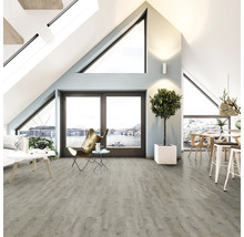 Heller Wohnraum mit Dachfenstern, Laminatboden, Sitzgelegenheiten und Zimmerpflanze