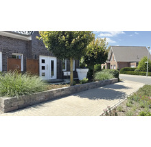 Hausfassade mit Pflasterweg, Mauer und Bepflanzung