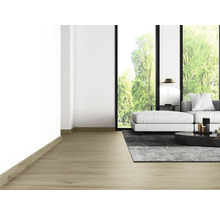 Wohnzimmer mit Holzboden, Sofa, Teppich und Fenstern