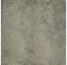 Produktbild: Wand- und Bodenfliese Toskana Rustic taupe 119,8x119,8 cm matt