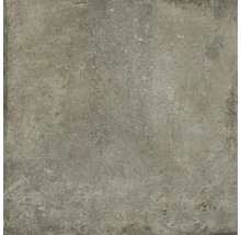 Produktbild: Wand- und Bodenfliese Toskana Rustic taupe 79,8x79,8 cm matt