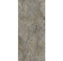 Produktbild: Wandpaneel Duschrückwand SPC Rocko Rainforest Brown wasserfest 4x1230x2800 mm