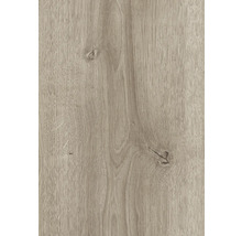 Nahaufnahme einer Holzoberfläche mit Maserung