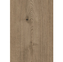 Holzstruktur mit Astloch