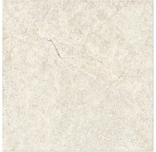 Produktbild: Wand- und Bodenfliese Alchemy Earth 60x60 cm