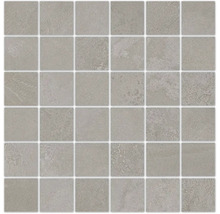 Produktbild: Feinsteinzeugmosaik Steuler Holmen taupe 30x30 cm