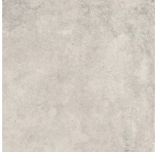 Produktbild: Wand- und Bodenfliese Midway bone 60x60 cm matt rektifiziert