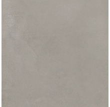 Produktbild: Bodenfliese Steuler Holmen taupe 59,8x59,8 cm