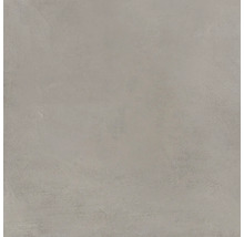 Produktbild: Bodenfliese Steuler Holmen taupe 99,7x99,7 cm