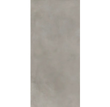 Produktbild: XXL Wand- und Bodenfliese Steuler Holmen taupe 119,8x277,8 cm