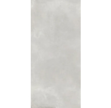 Produktbild: XXL Wand- und Bodenfliese Steuler Holmen zement 119,8x277,8 cm