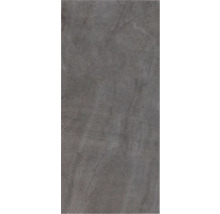 Produktbild: XXL Wand- und Bodenfliese Steuler Hygge basalt 119,8x259,8 cm