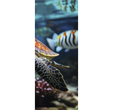 Nahaufnahme einer Meeresschildkröte im Aquarium